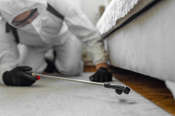 Professional Bed Bug Control technician working in Leawood, KS