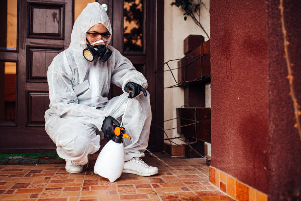 Reliable Bed Bug Control contractor in Leawood, KS by Nex Pest Control
